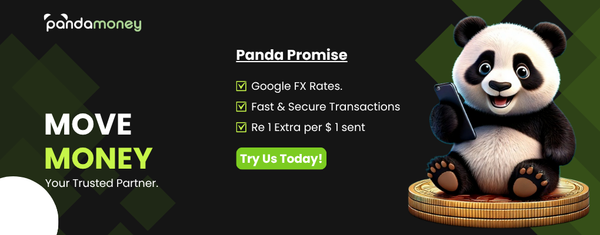 Why Panda Money Is the Smarter Choice for NRIs in the U.S.—A Head-to-Head Comparison.
